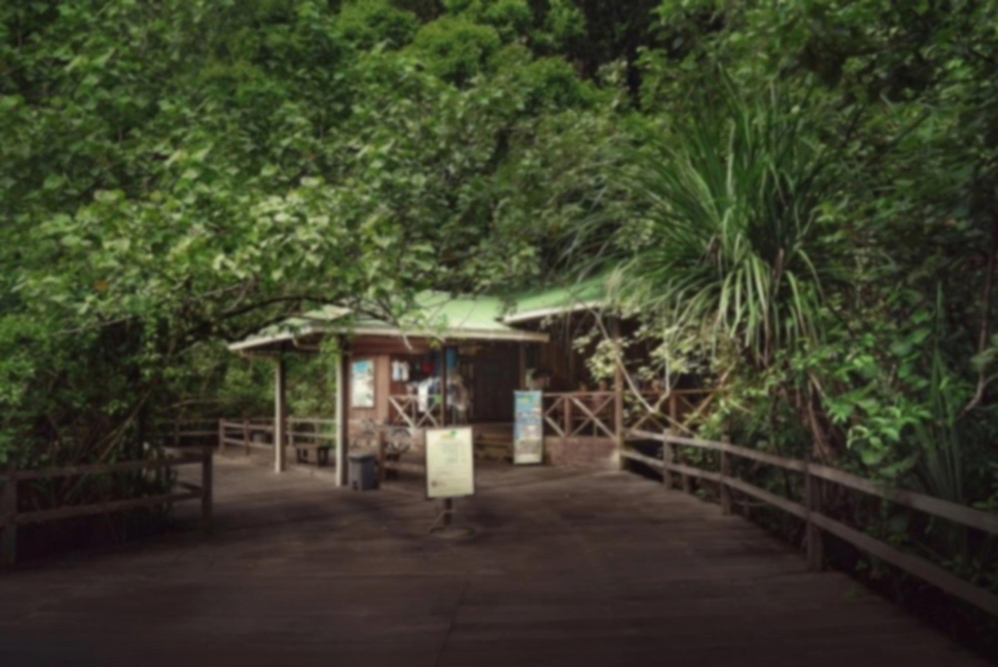 Permai Rainforest Resort Santubong Exterior photo